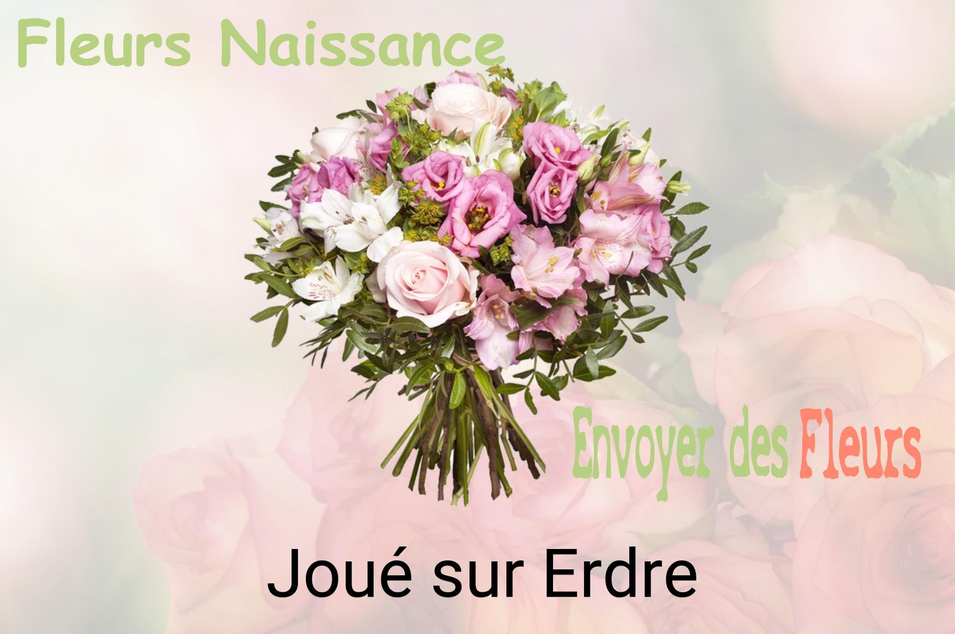 Bouquet de fleurs de naissance livré à Joué-sur-Erdre